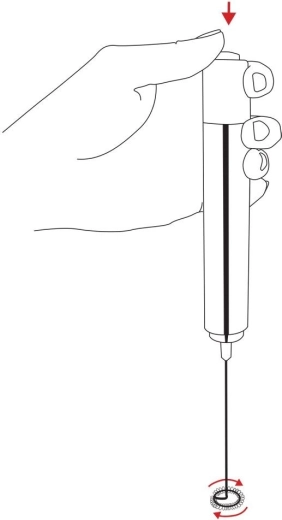 Quick frothing at the press of a button