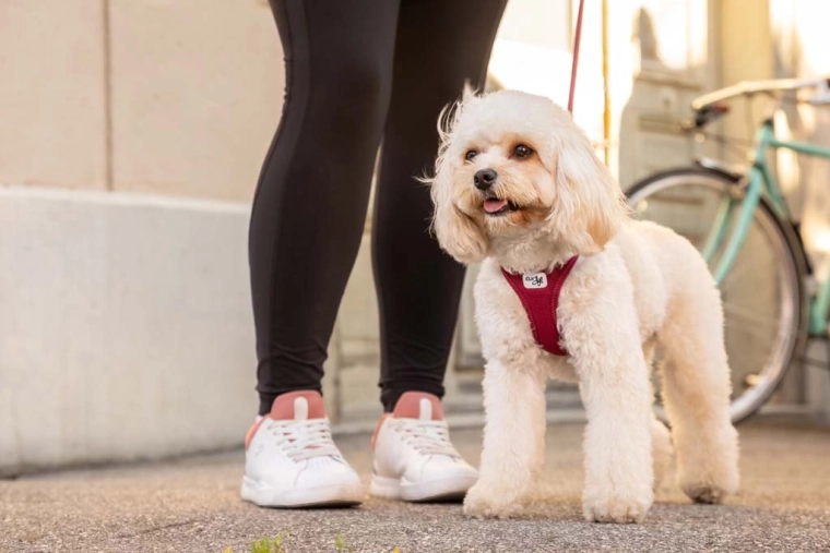 3D Comfort fit: pohodlí bez tlaku na krk