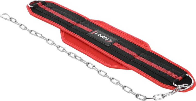 Weighted dip and pull-up belt HMS