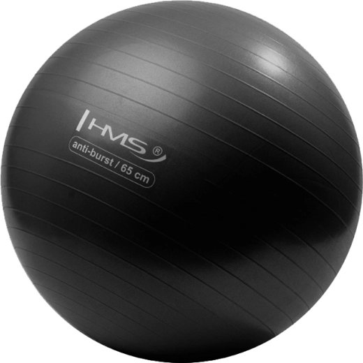 HMS Gym Ball 65 cm Black