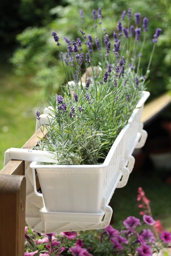 Largeur réglable pour la plupart des rampes