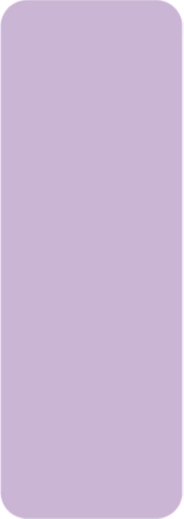 Thermal Stickers for Niimbot Printer Purple