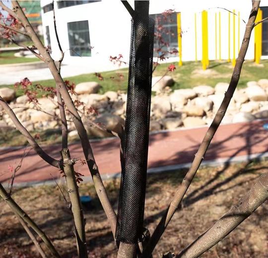 Protection mécanique efficace de l’écorce