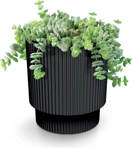 Idéal pour les plantes d’intérieur