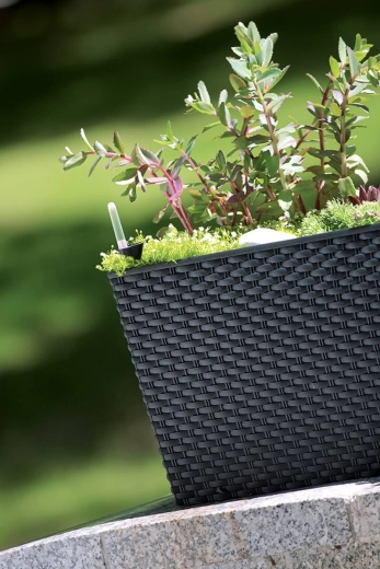 Stilski ratanast dizajn za notranjost in zunaj