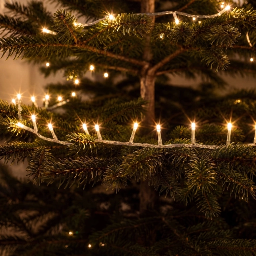 Warm white light for a cozy atmosphere