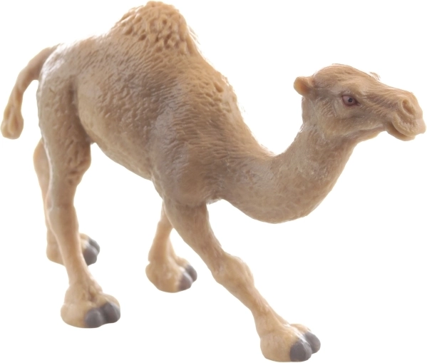 Durable plastic and stable stance