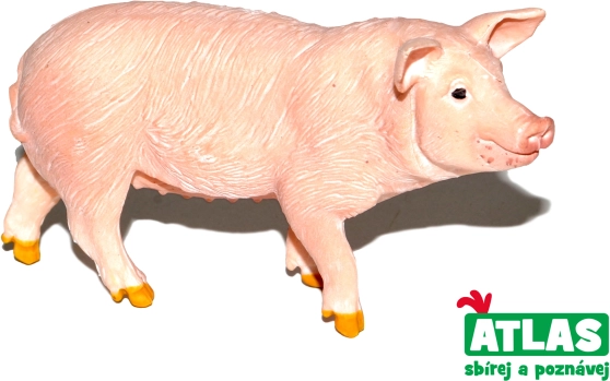 Pig Figurine 9 cm