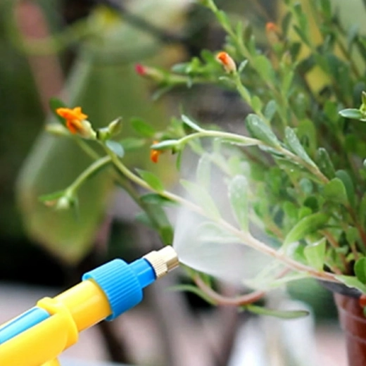 Jemné rosení pro zdravé rostliny