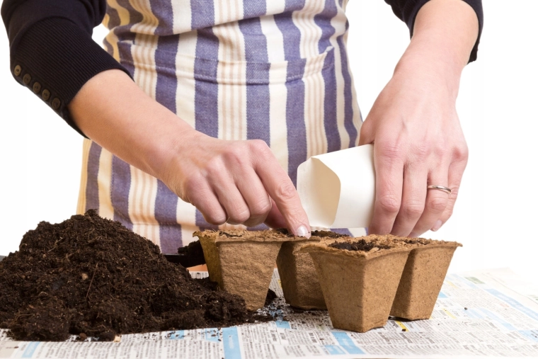 Remplissage facile et repiquage sans stress