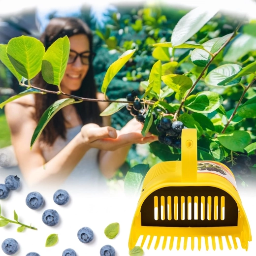 Cleaner harvest without leaves