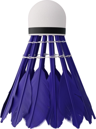 Fast and stable flight with duck feathers