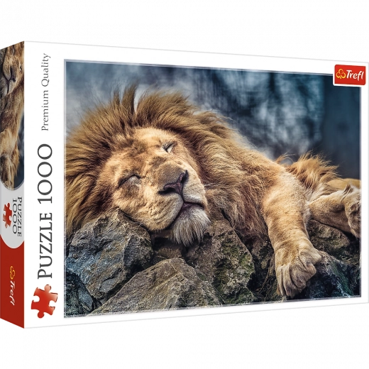 Puzzle 1000 pezzi Leone Addormentato