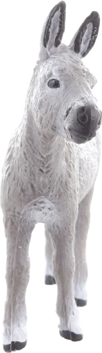 Dimensione ideale per le collezioni