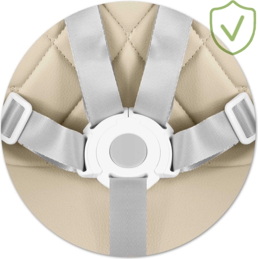 Massima sicurezza con cintura a 5 punti