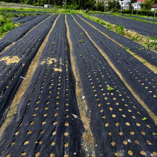 Für den Reihenanbau im Garten und auf dem Feld