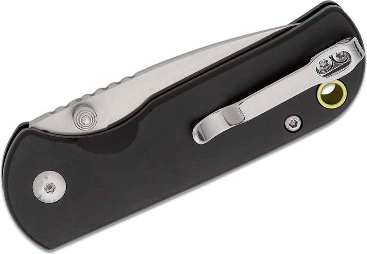 Secure carry with pocket clip