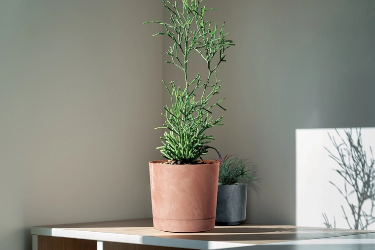 Léger, résistant et prêt pour l’intérieur comme l’extérieur