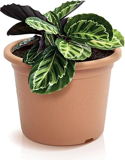 Drainage pratique pour des racines saines