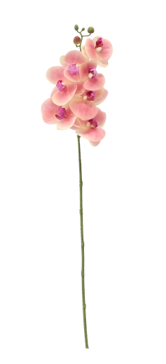 Lunghezza 74 cm per composizioni eleganti