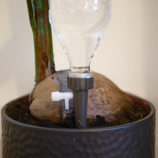 Stabil rögzítés a cserépben