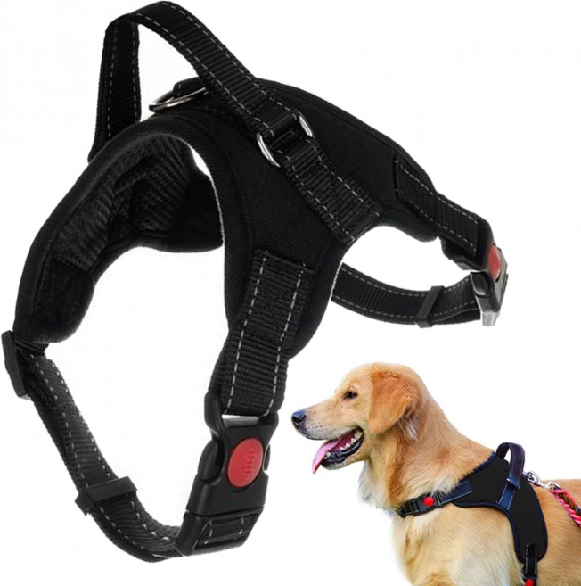Imbracatura robusta e senza pressione per cani con luce XL