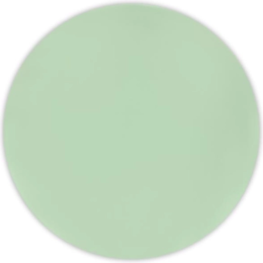 Decorata Plastic Plates 25 cm Light Green, Set of 2