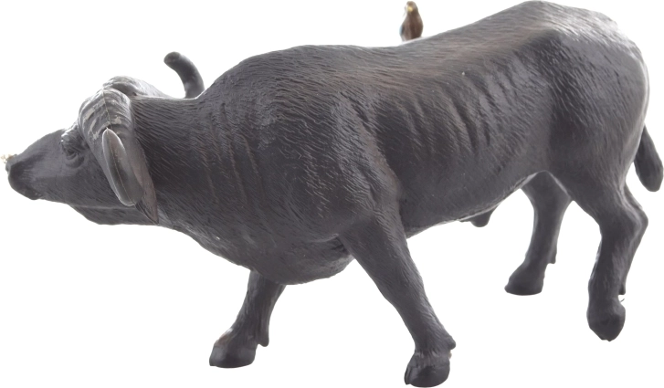 Dimensione ideale per la mano del bambino