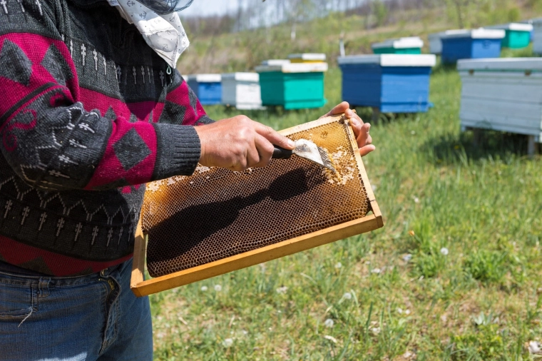 Idéale pour le travail à la ruche et l’extraction