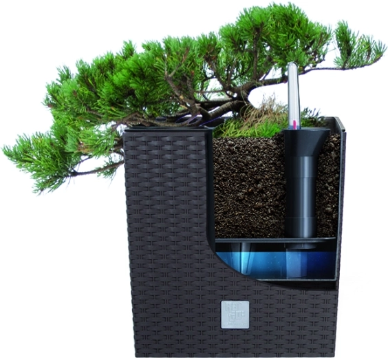 Insert pratique pour une culture facile