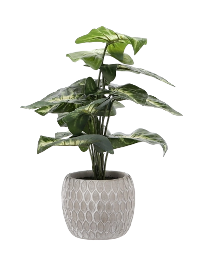 Stilfuld og stabil urtepotte