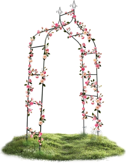 Supporto perfetto per piante rampicanti