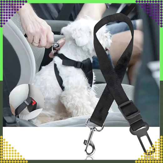 Sichere Befestigung am Geschirr