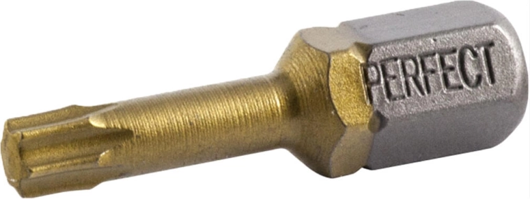 Embout TORX T20 25 mm STALCO, lot de 2 pcs