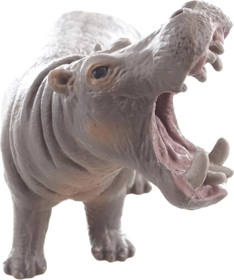 Ideal for learning about animals