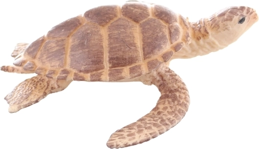 Dimensione ideale per la mano dei bambini