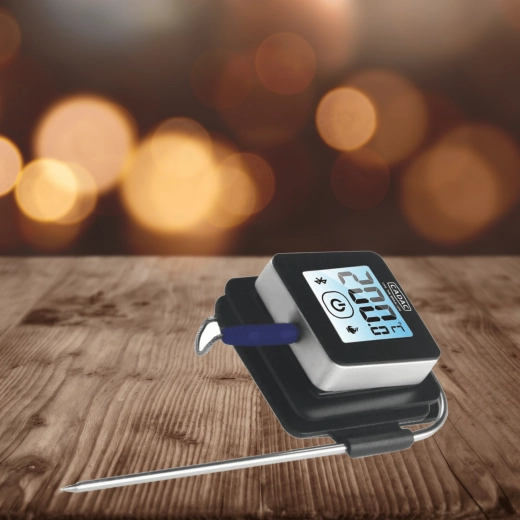 Sonda in acciaio inox precisa e display LCD luminoso