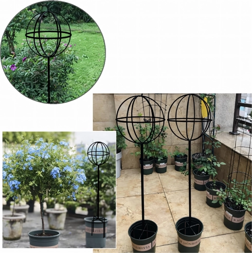 Ideale per vasi e aiuole