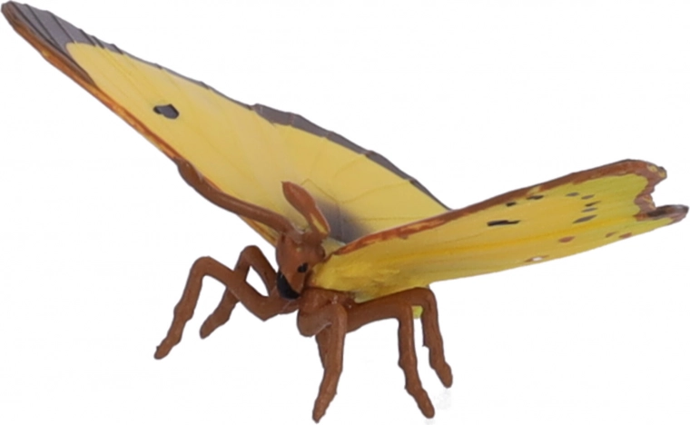 Skvělé pro hru i sbírku