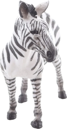 Ideale per la didattica e le collezioni