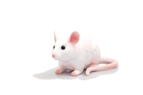 Mojo musfigur