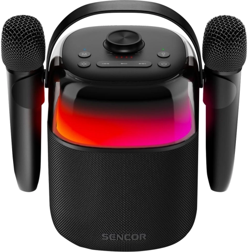 Karaoke with two wireless microphones