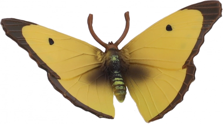 Realistické provedení křídel