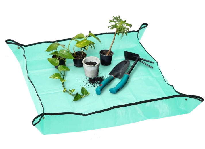 Bords relevés pour plus de propreté