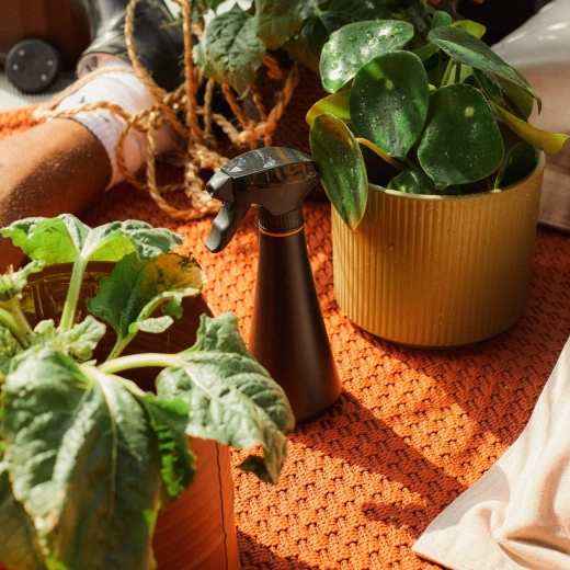 Utilizzo confortevole con le piante