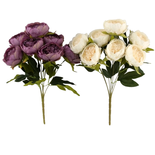Aspetto realistico delle peonie