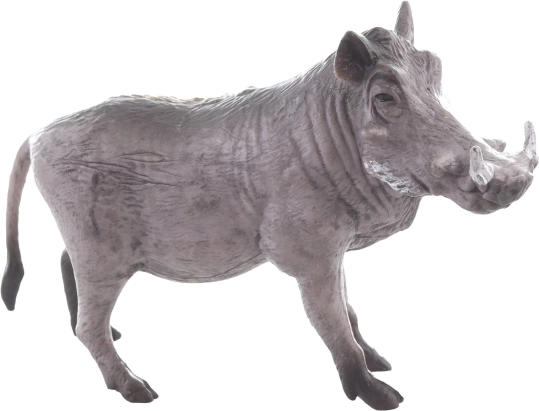 Vzdržljiva zasnova za vsakodnevno igro