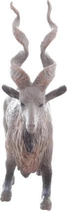 Dimensione ideale per la mano del bambino