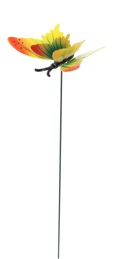 Décoration pour l’extérieur comme l’intérieur