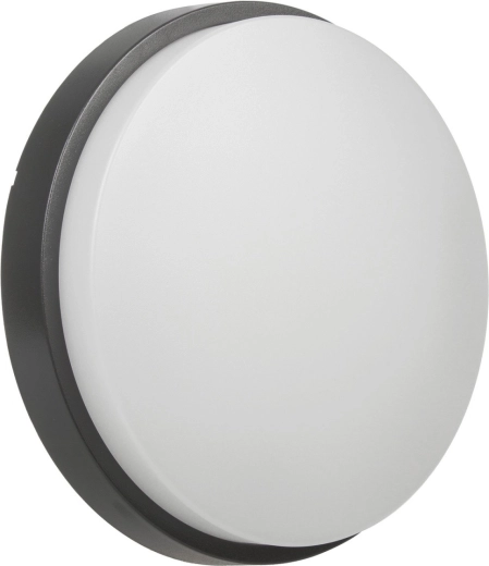 Zidna i stropna LED svjetiljka 15 W 4000 K MACLEAN ENERGY